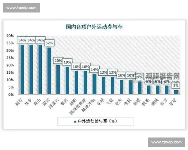 体育运动发展趋势与社会文化影响的全面分析研究