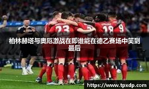 好博体育登陆人口
